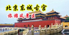 操美女嗷嗷叫中国北京-东城古宫旅游风景区